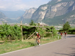 Alpinradler, Weinberge, Rennrad, Tour, Dolomiten, Südtirol