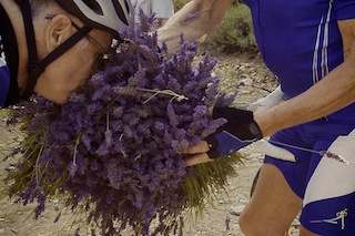 Tour Alpin 2012, Rennrad, Velo, Cyclisme, Provence-Alpes, Frankreich, Alpen, Alpinradler, Lavendel